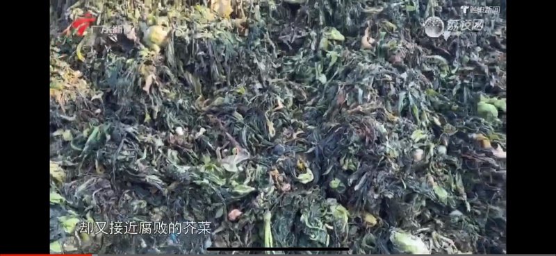 潮汕特产选购实战：传统糕点vs新潮茶食，谁更值得买？